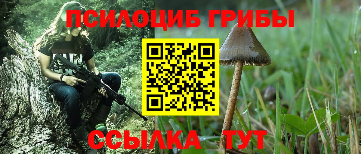 Советская Гавань  Галлюциногенные грибы Cubensis  Вход с VPN 